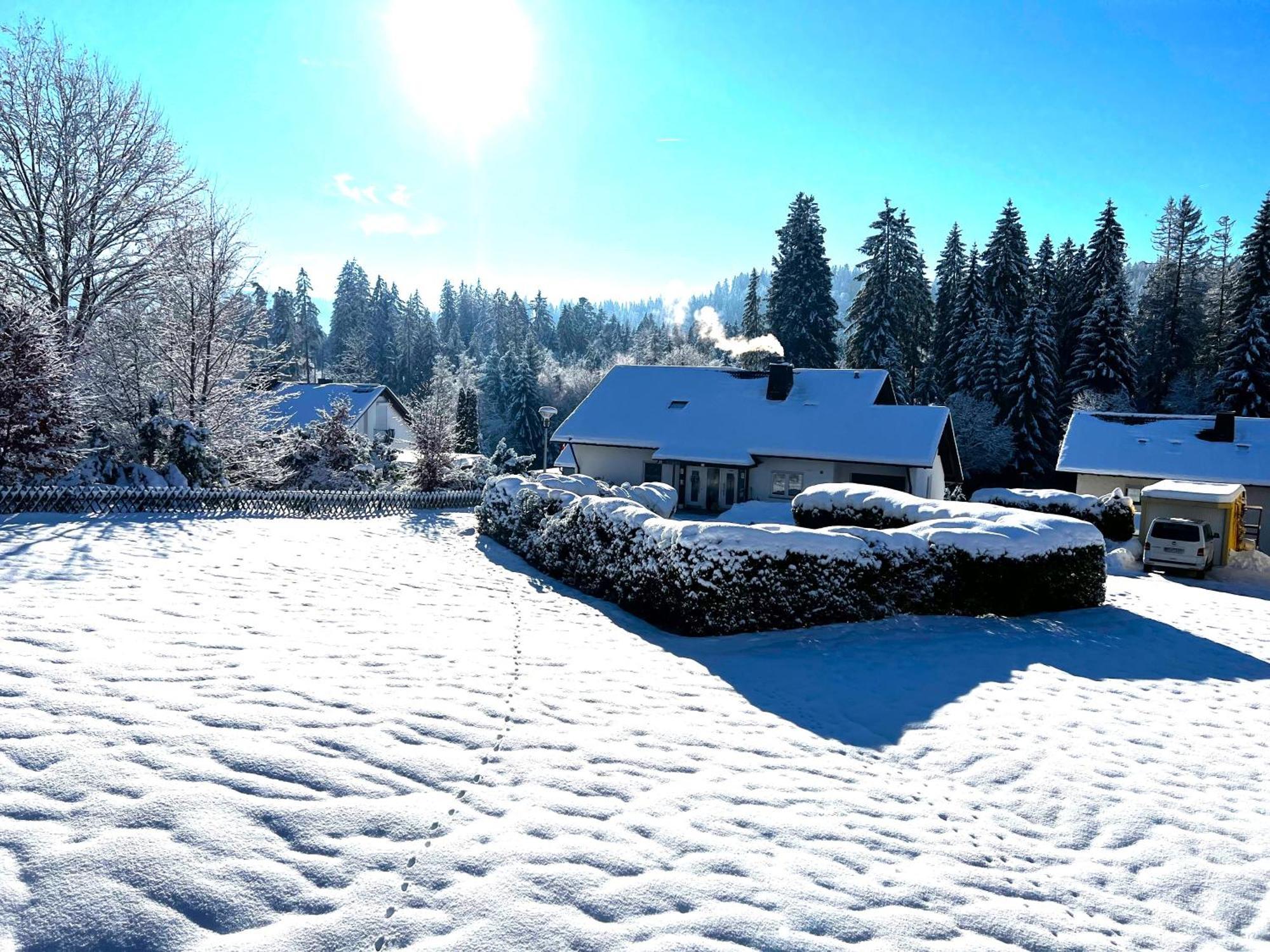Michels Apartment Titisee-Neustadt Eksteriør billede