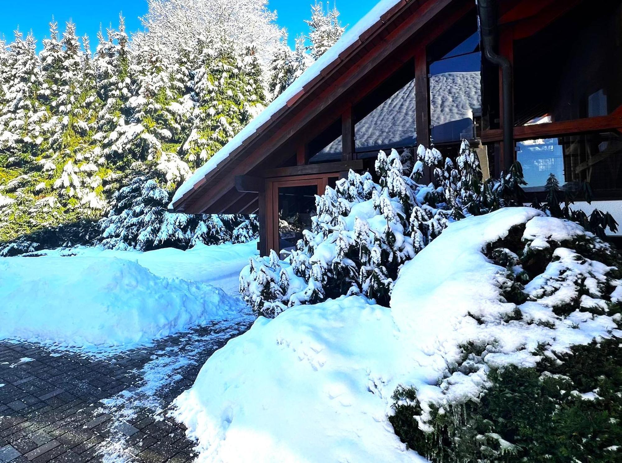 Michels Apartment Titisee-Neustadt Eksteriør billede